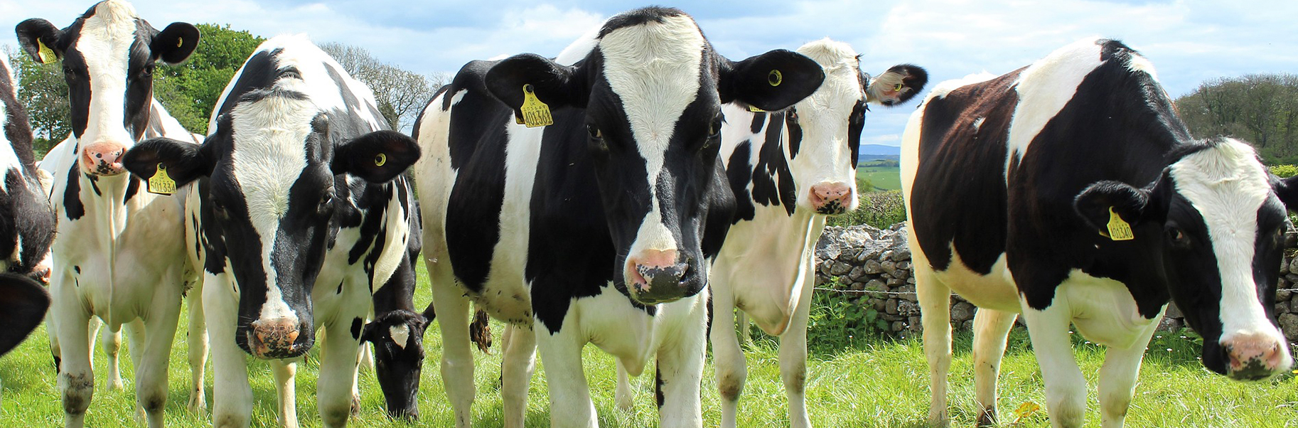 Cedar Crest Ice Cream Contributes $250,000 to Farm Wisconsin Discovery Center