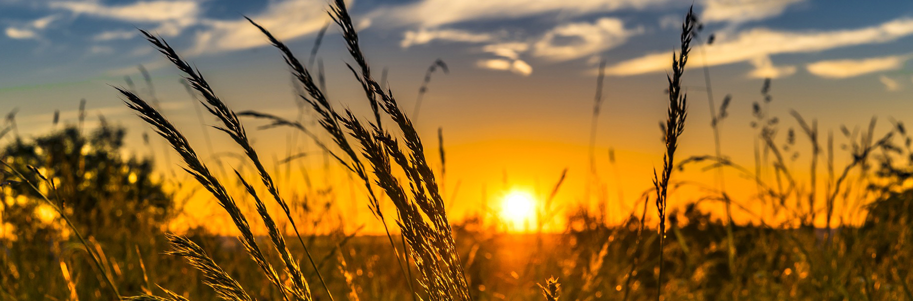 Farm Wisconsin Discovery Center Announces Three New Employees