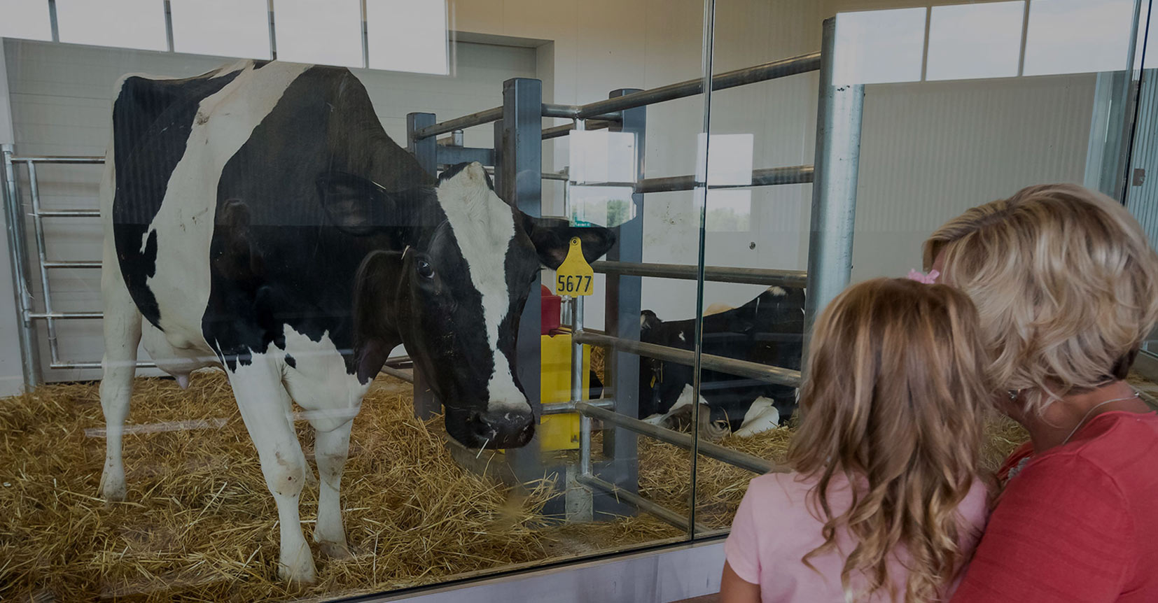 farm school field trips near me