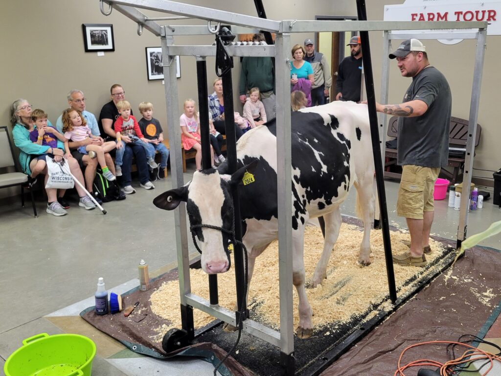 A gentleman talks to a crowd of people about grooming a calf