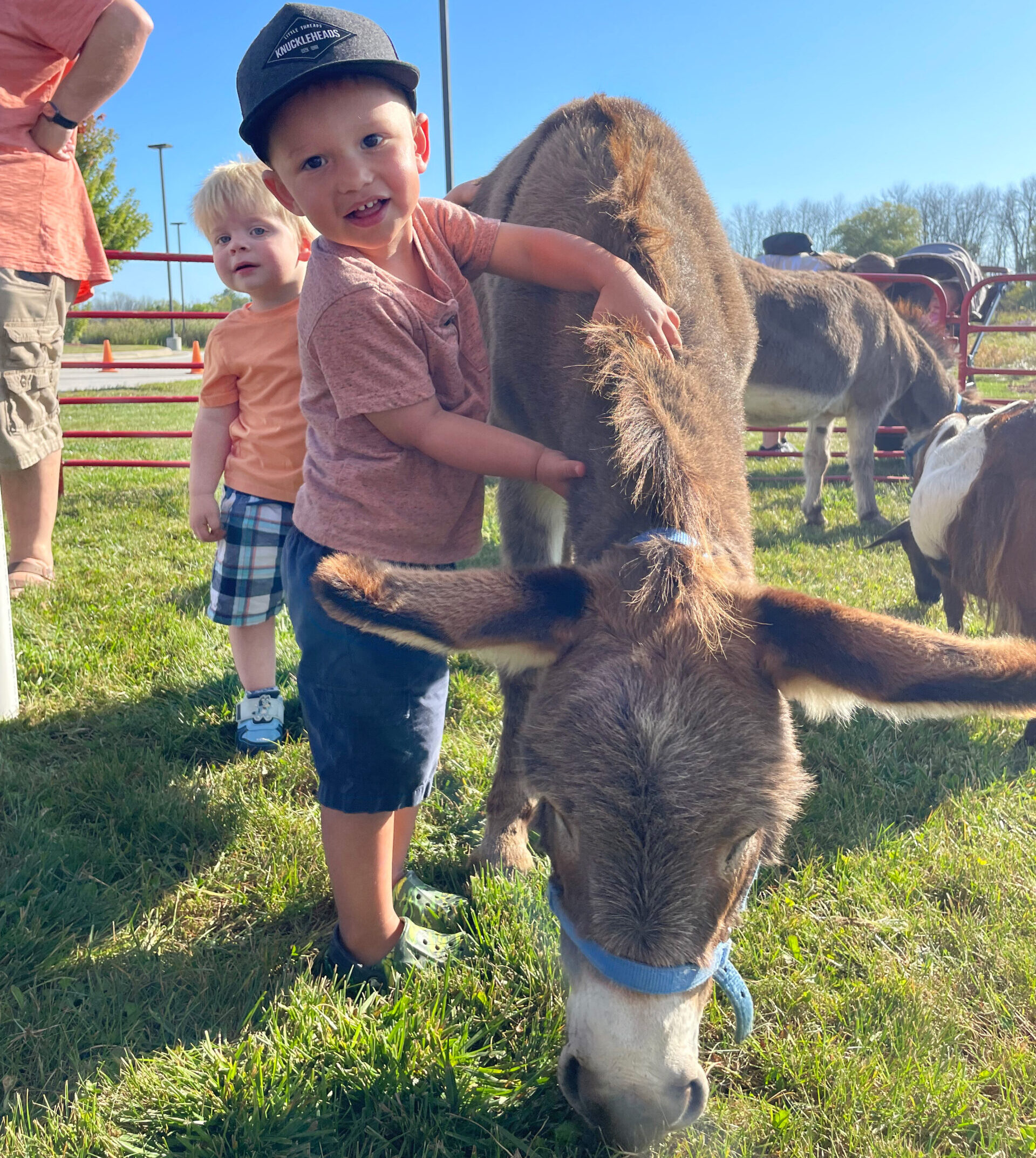 Autumn Fun at Farm Wisconsin