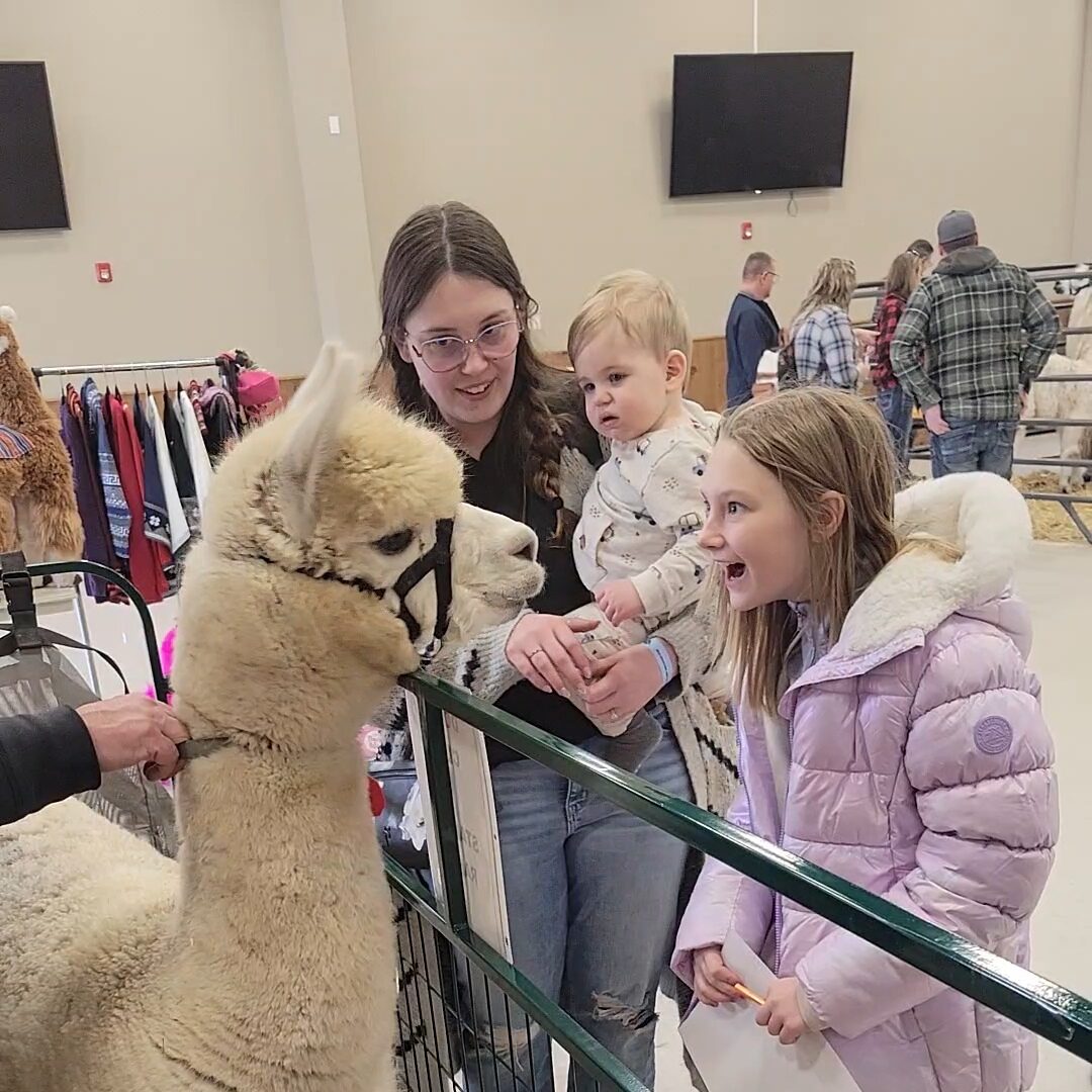 Baby Llama & Alpaca Kisses