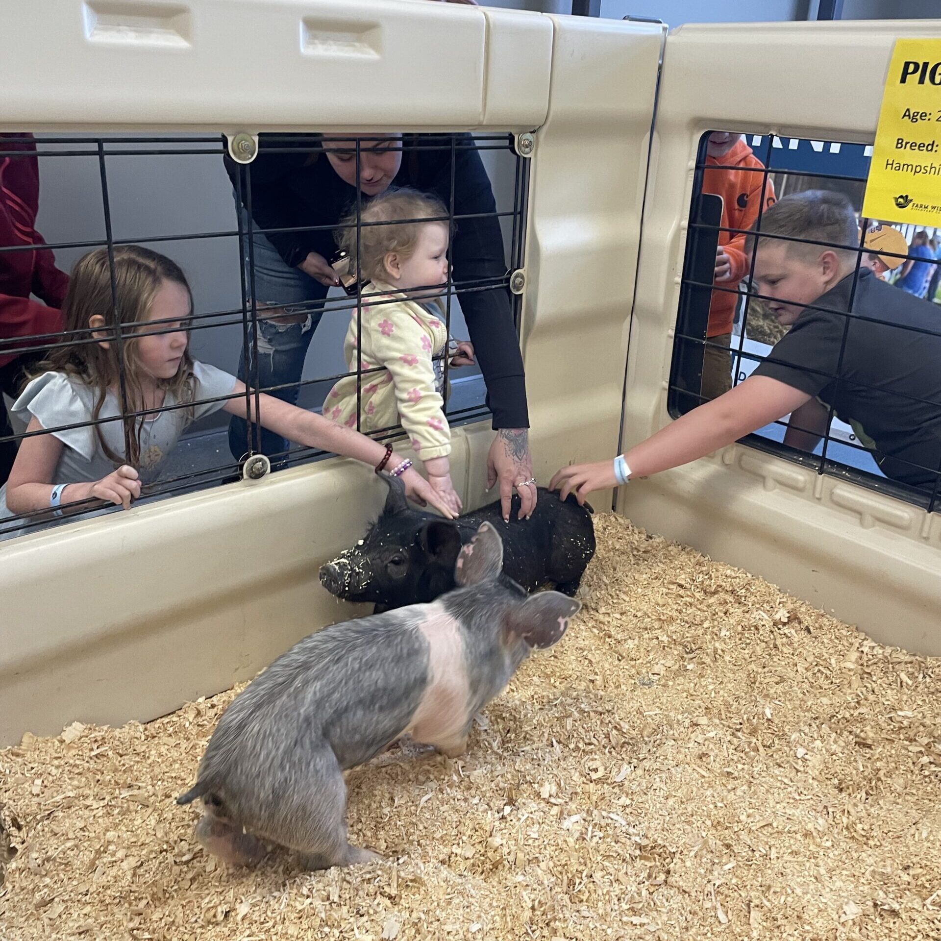 Farm Wisconsin Expands Spring Baby Fever to Multiple Days