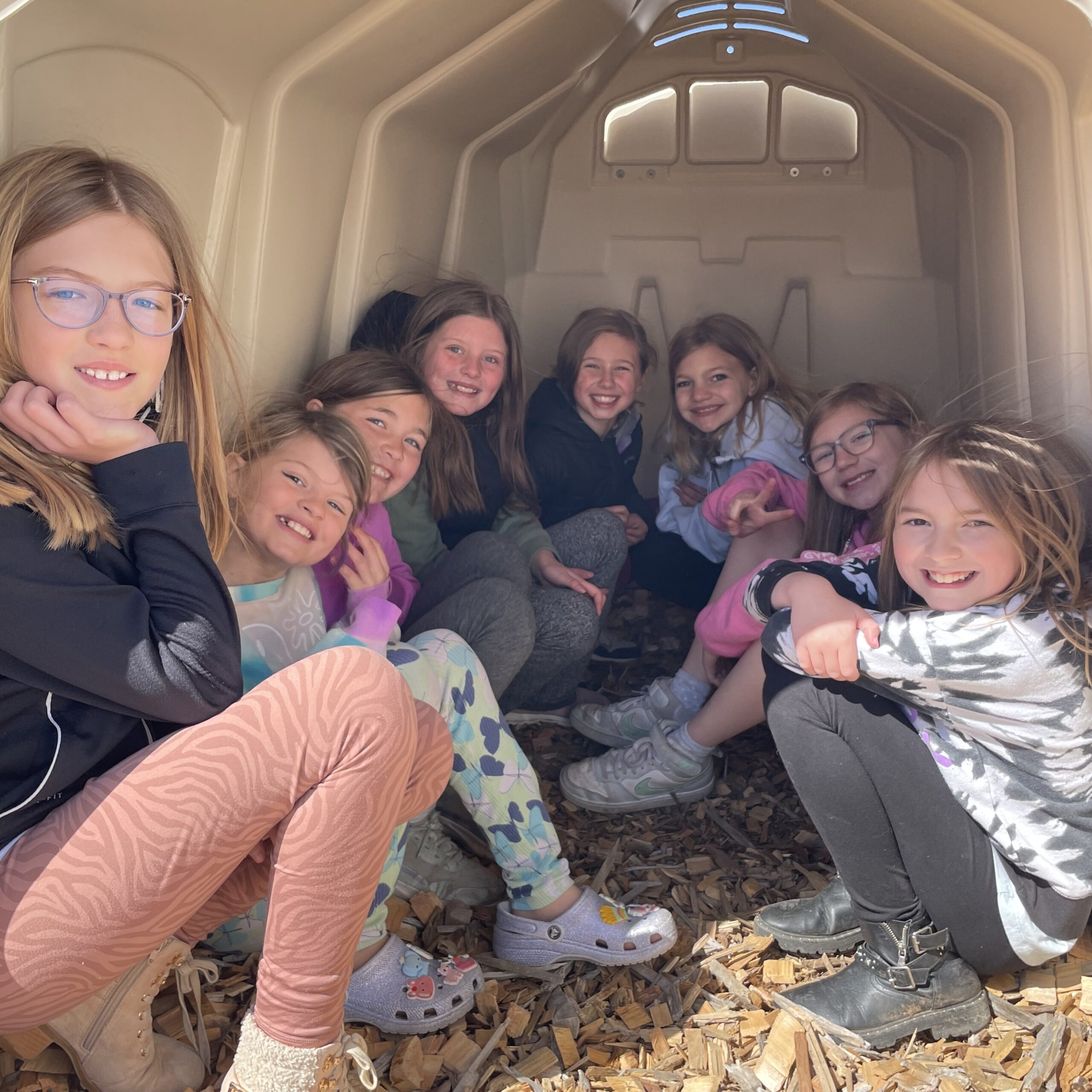 Students playing outside in a calf hutch